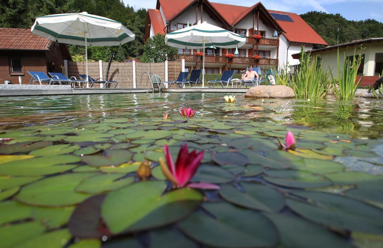 Hotel & Gasthof Zur Linde Kipfenberg Exterior photo